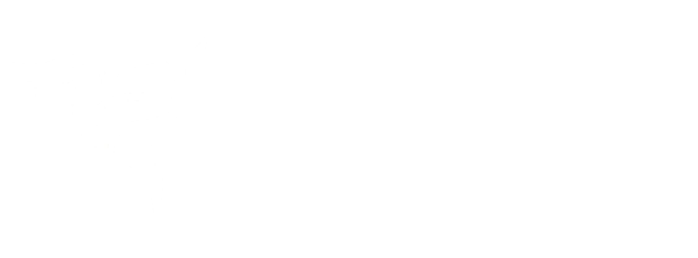 Your Sexual Harassment Lawyer Sparrow logo